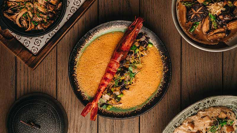 Dishes served on the table