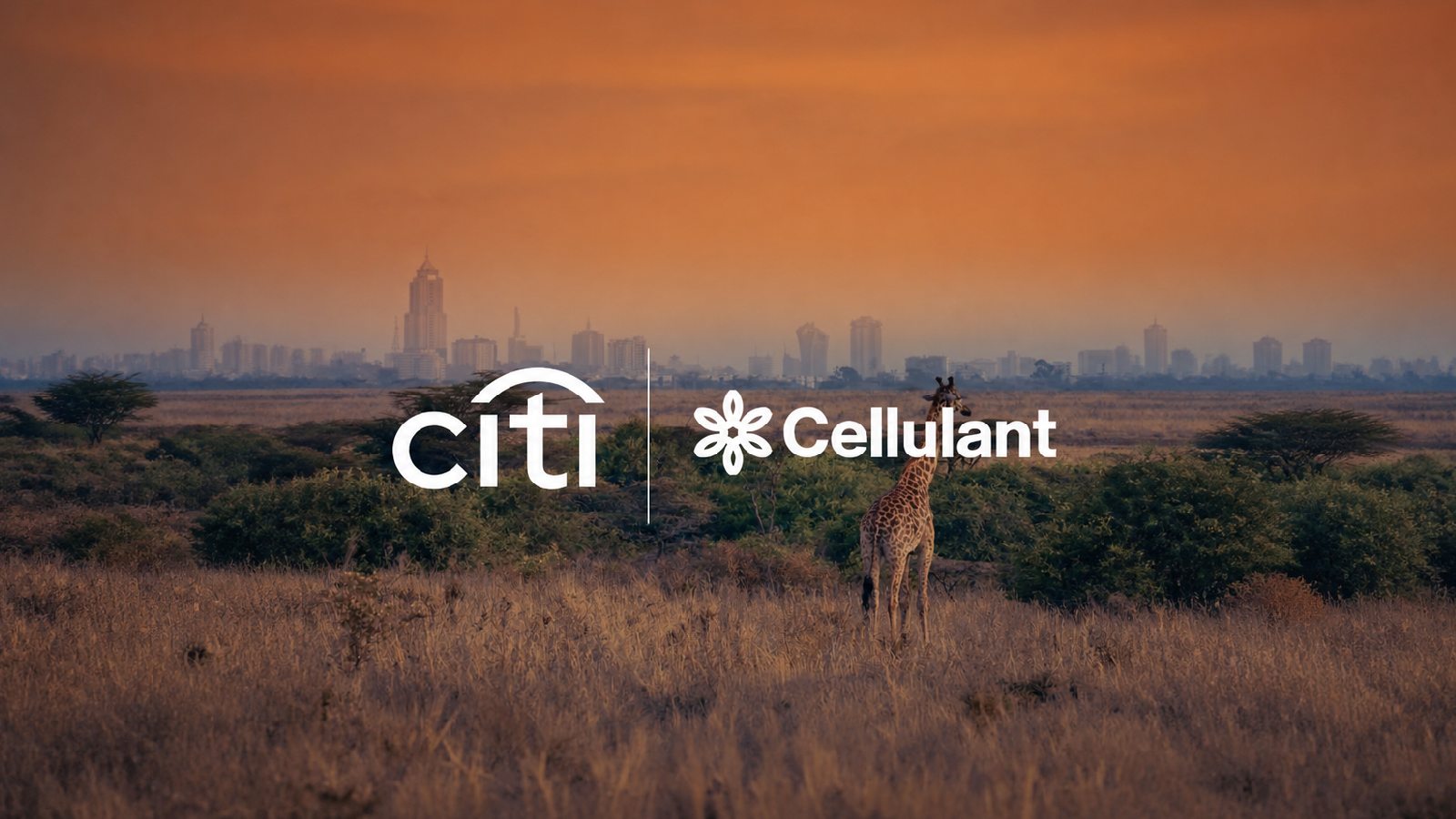 A giraffe stands in a grassland at sunset, facing a distant city skyline under an orange sky. Logos for Citi and Cellulant are in the center.