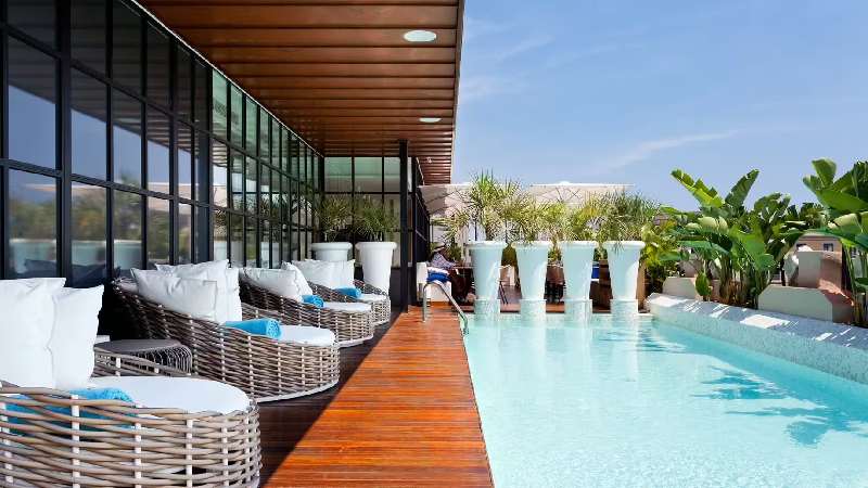 Modern rooftop pool terrace with cushioned lounge chairs and tropical plants